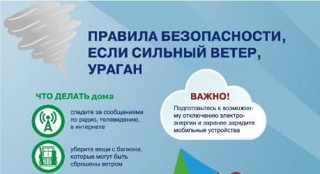 МЧС: правила безопасности при сильном ветре и урагане