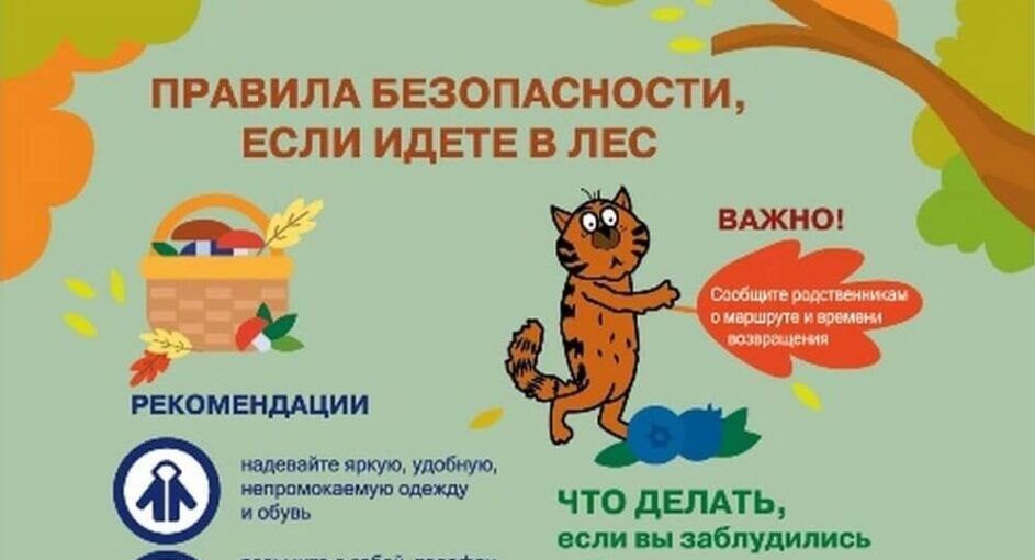МЧС: правила безопасности, если идете в лес